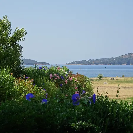 Les Voiles Pinarellu