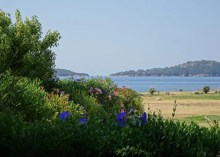 Les Voiles Pinarellu